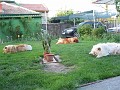 20110425_Paste 051